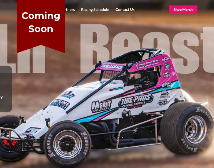 Ashley Williams Sprint Car Race Driver