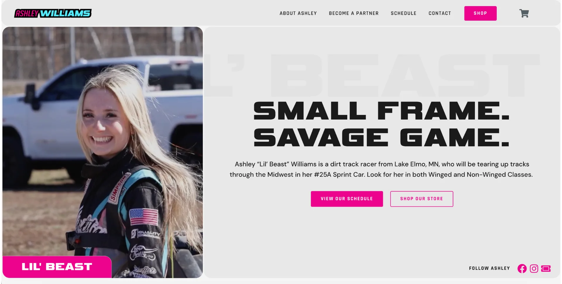 Ashley Williams Homepage Hero Section